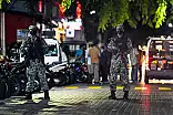 ނަޝީދަށް ދިން ހަމަލާ، ހަށިފާރަވެރިންގެ ދުލުން