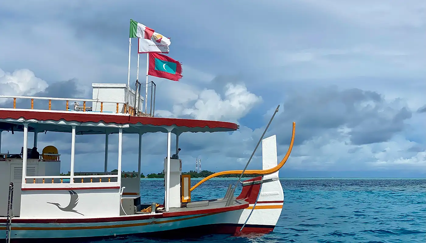 ޑައިވިންއަށް ދިޔަ 5 މީހަކު މަރުވެފައި އޮއްވައި ފެނިއްޖެ