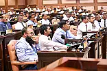 ގޮނޑި ގެއްލުވާލުމުގެ ބާރު ޕާޓީއަށް ދީފައި ބާވަން ފާސްކޮށްފި