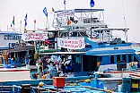 ކަންނެލި މަސްވެރިންގެ އިހުތިޖާޖު ރޫޅާލުން ކުށްވެރިކޮށްފި
